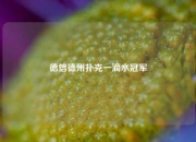 德信德州扑克一滴水冠军