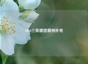 2018三亚德信德州扑克