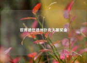 世界德信德州扑克大赛奖金
