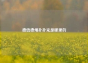 德信德州扑扑克是哪里的