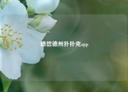 德信德州扑扑克app