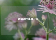德信德州棋牌扑克