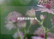 美国德信德州扑克