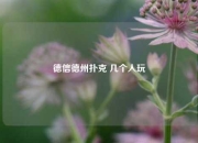 德信德州扑克 几个人玩