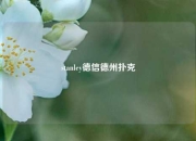 stanley德信德州扑克