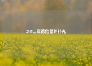 2018三亚德信德州扑克