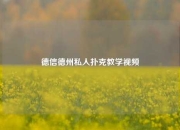 德信德州私人扑克教学视频