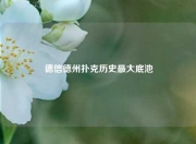 德信德州扑克历史最大底池