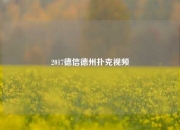 2017德信德州扑克视频