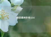 德信德州扑克12345