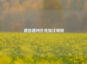 德信德州扑克加注规则