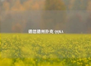 德信德州扑克 QQKA