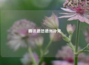 腾讯德信德州扑克