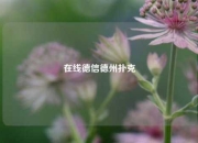 在线德信德州扑克