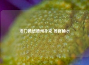 澳门德信德州扑克 荷官抽水