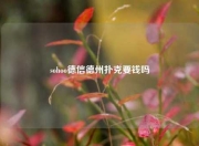 sohoo德信德州扑克要钱吗