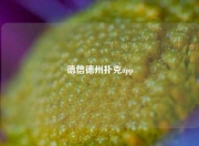 德信德州扑克app