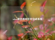 sohoo德信德州扑克安卓系统