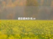 德信德州扑克248