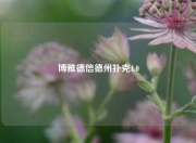 博雅德信德州扑克4.0