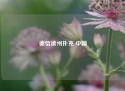 德信德州扑克 中国