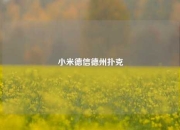小米德信德州扑克