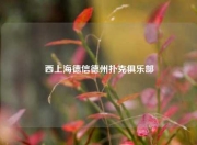 西上海德信德州扑克俱乐部