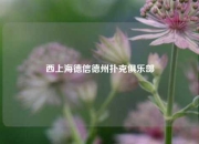 西上海德信德州扑克俱乐部