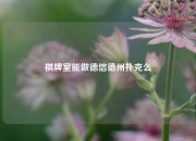 棋牌室能做德信德州扑克么