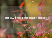 捕鱼达人千炮版里的德信德州扑克哪里下