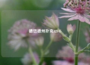 德信德州扑克12345