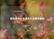 德信德州扑克腾讯天天德信德州