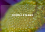 德信德州 扑克 现金视频