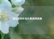 德信德州扑克比赛视频直播