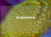 澳门德信德州扑克