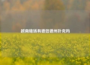 越南赌场有德信德州扑克吗
