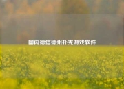 国内德信德州扑克游戏软件