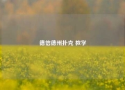 德信德州扑克 教学