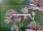 2018三亚德信德州扑克