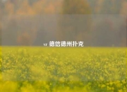 vr 德信德州扑克