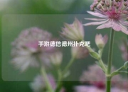 手游德信德州扑克吧