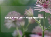 捕鱼达人千炮版里的德信德州扑克哪里下