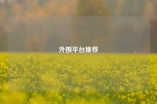 外围平台推荐