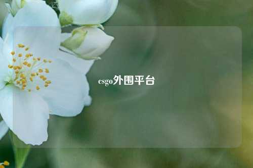 csgo外围平台