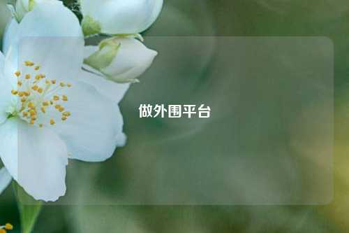 做外围平台