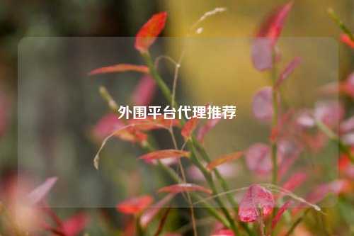 外围平台代理推荐