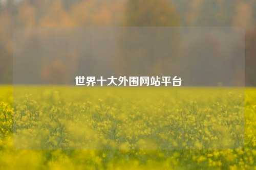 世界十大外围网站平台