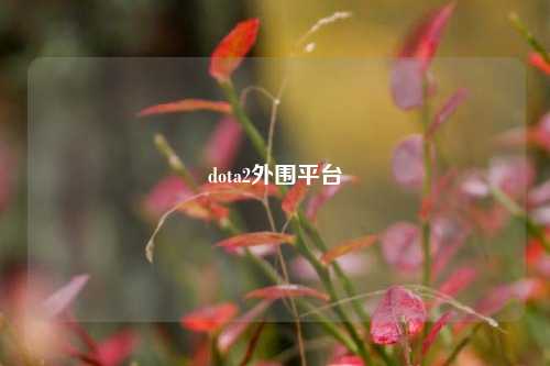 dota2外围平台