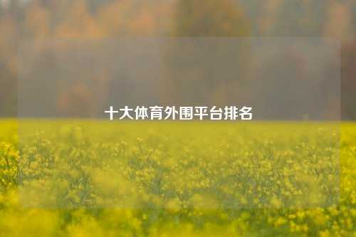 十大体育外围平台排名
