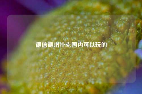 德信德州扑克国内可以玩的
